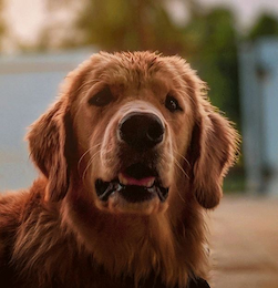 Témoignage client 2