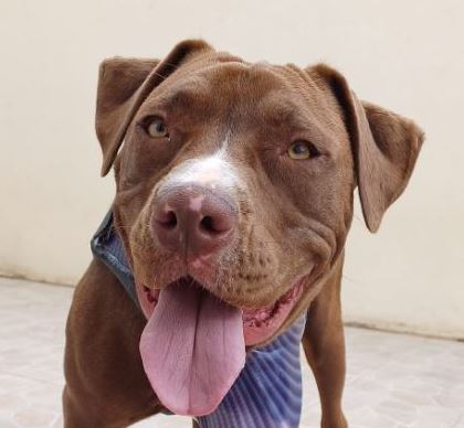 Témoignage client 0