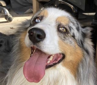 Témoignage client 1